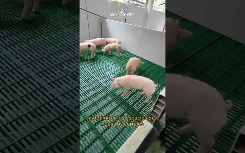 asesoramiento t&eacute;cnico en sistemas de desag&uuml;e